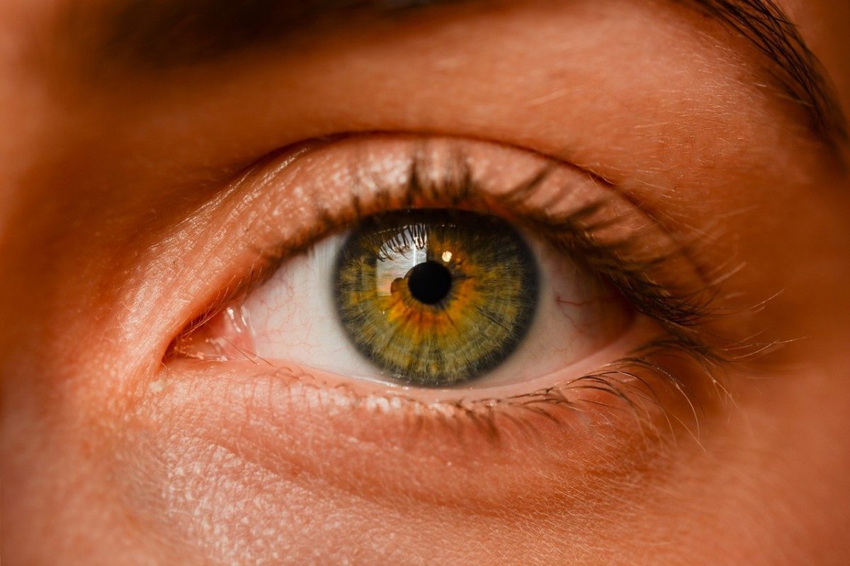 Oczy to wyrafinowany organ. To otóż to dzięki nim widzimy.